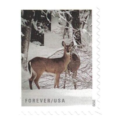 Winter Scenes Stamps