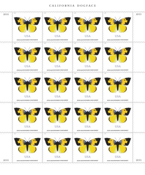 California Dogface Butterfly Stamp (Non‑Machinable for Square Envelopes) full