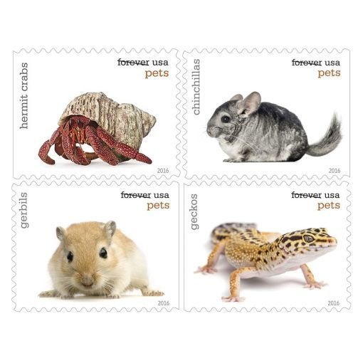 USPS Forever Pets Stamps for sale