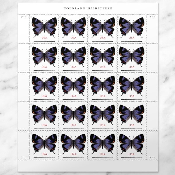 USPS Non-machineable Colorado Hairstreak Butterfly Forever Stamp for sale main