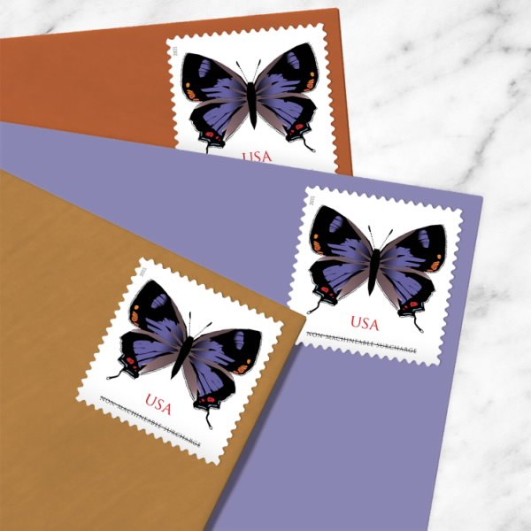 USPS Non-machineable Colorado Hairstreak Butterfly Forever Stamp for sale main