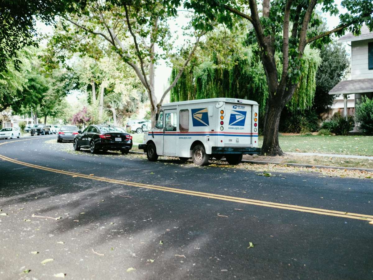 The Denver Wild Audit: Navigating Animal Forever Stamps for Conservation and Logic