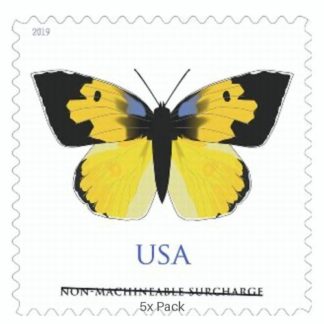 Bulk California Dogface Stamps for Church & Religious Communities || Non-Machineable® 500Pcs