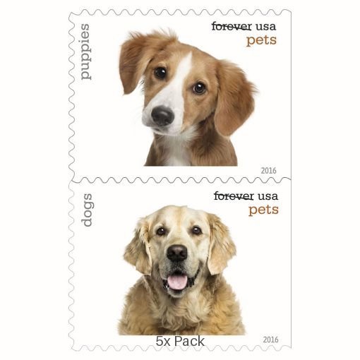 Bulk Pets Stamps for Church & Religious Communities || 500Pcs (25 books)